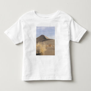 Sand dune formations. Bruneau Dunes State Park 2 Toddler T-Shirt
