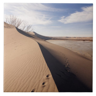 Sand dune formations. Bruneau Dunes State Park Tile