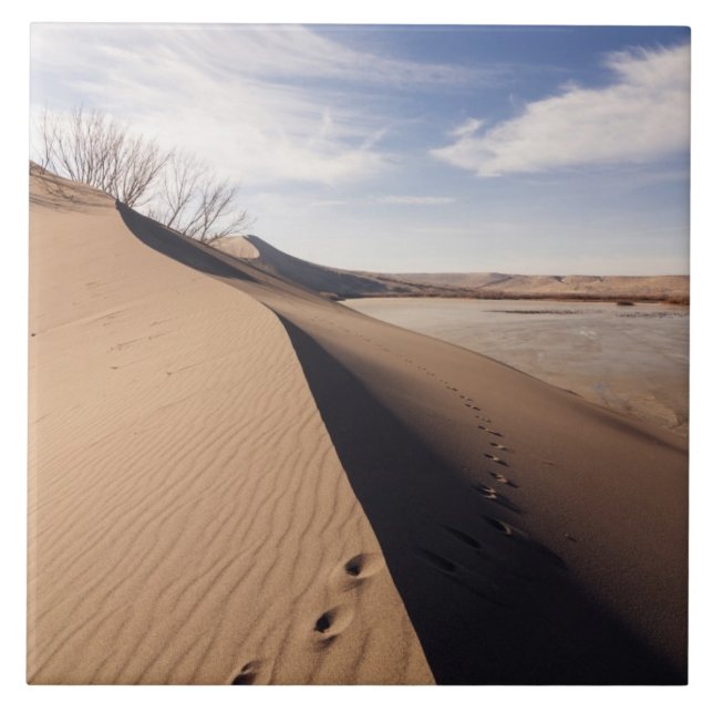 Sand dune formations. Bruneau Dunes State Park Tile (Front)