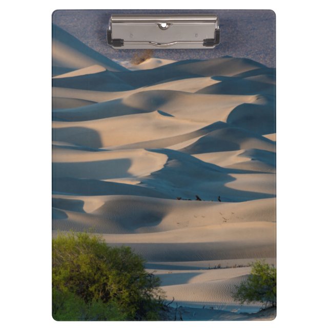Sand dune landscape, California Clipboard (Front)