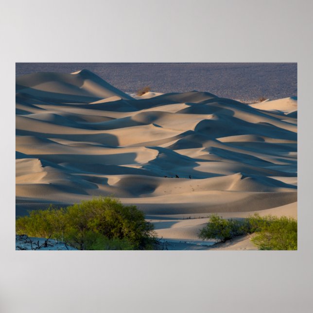 Sand dune landscape, California Poster (Front)