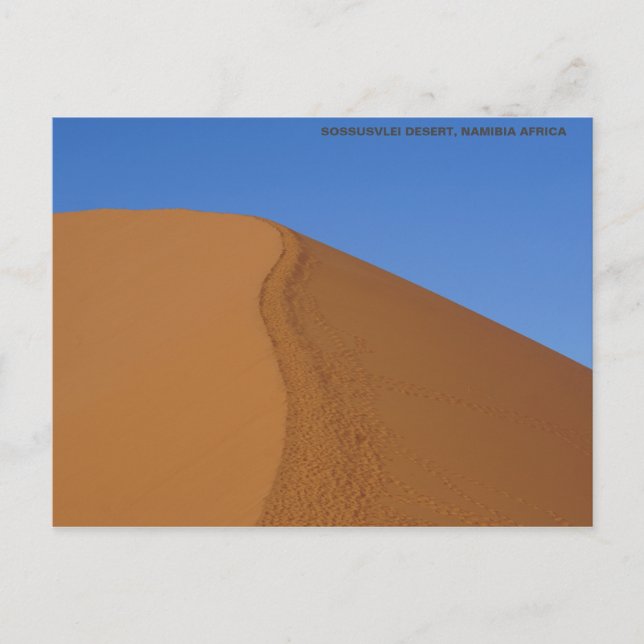 SAND DUNE NAMIBIA AFRICA POSTCARD (Front)