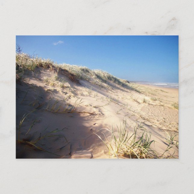 Sand dune postcard (Front)