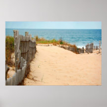 Sand Dune & Sea Fence