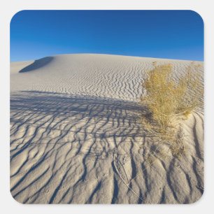 Sand dunes at White Sands National Monument in 3 Square Sticker