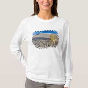 Sand dunes at White Sands National Monument in 3 T-Shirt