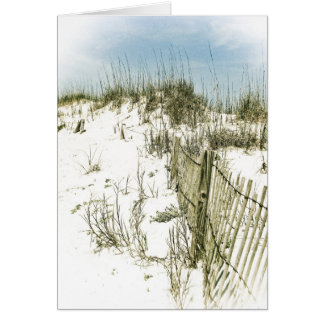 Sand Dunes Fence