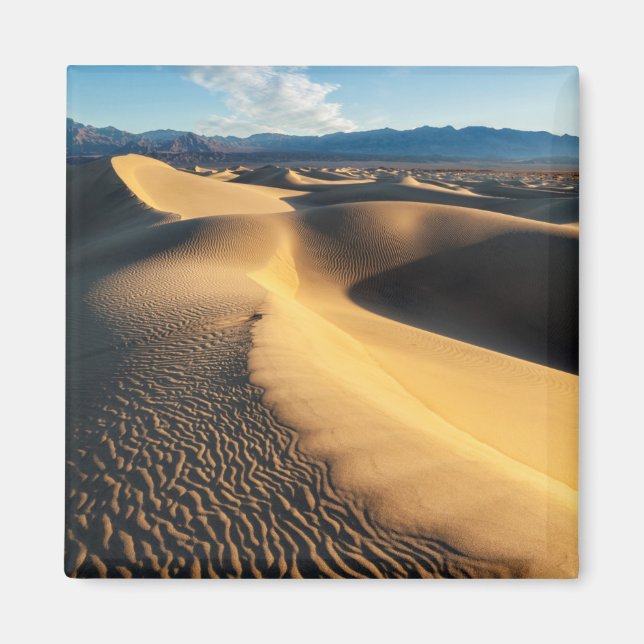 Sand dunes in Death Valley, CA Magnet (Front)