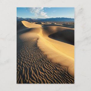 Sand dunes in Death Valley, CA Postcard