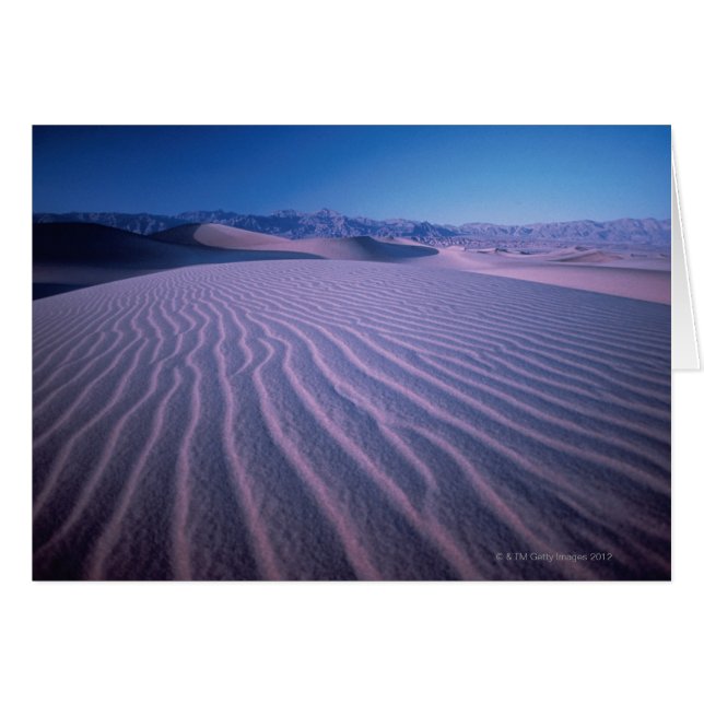 Sand Dunes in Desert (Front Horizontal)