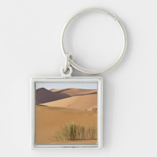Sand dunes, Sahara desert, Morocco Key Ring