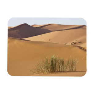Sand dunes, Sahara desert, Morocco Magnet