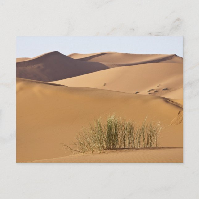 Sand dunes, Sahara desert, Morocco Postcard (Front)