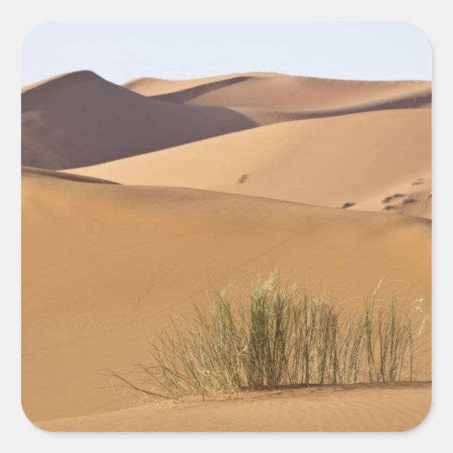 Sand dunes, Sahara desert, Morocco Square Sticker (Front)