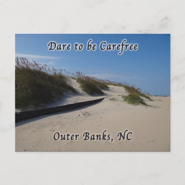 Sand Dunes Sea Oats Outer Banks NC Postcard (Front)