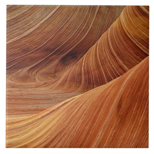 Sand Dunes  Tile (Front)