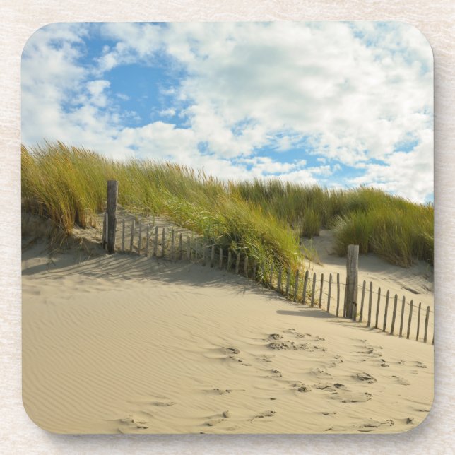 Sand dunes with wooden fence coaster (Front)