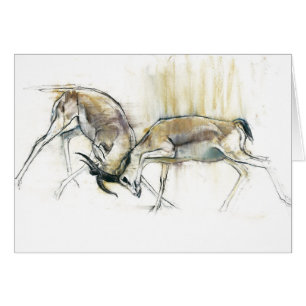 Sand Gazelles 2009