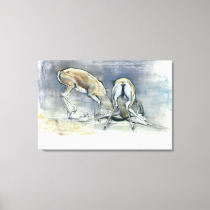 Sand Gazelles 2009  2 Canvas Print
