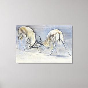Sand Gazelles 2009 3 Canvas Print