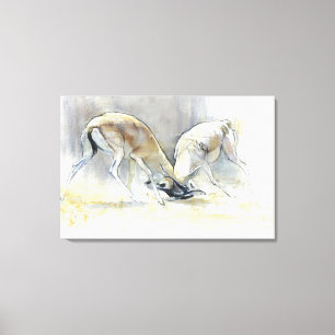 Sand Gazelles 2009 4 Canvas Print