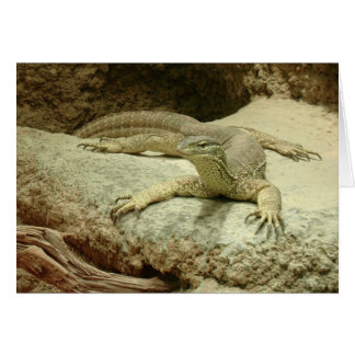 Sand goanna