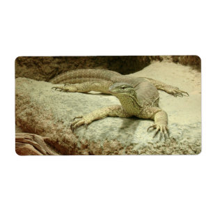 Sand goanna