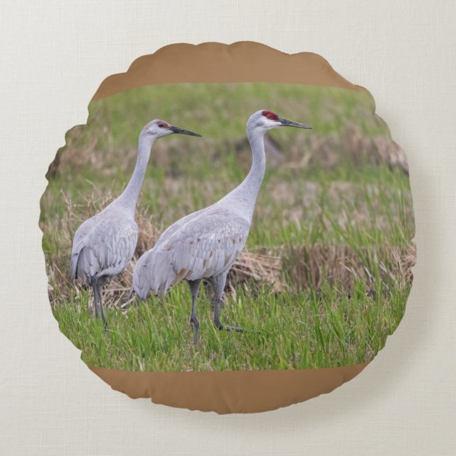 Sand Hill Cranes Pillow (Front)