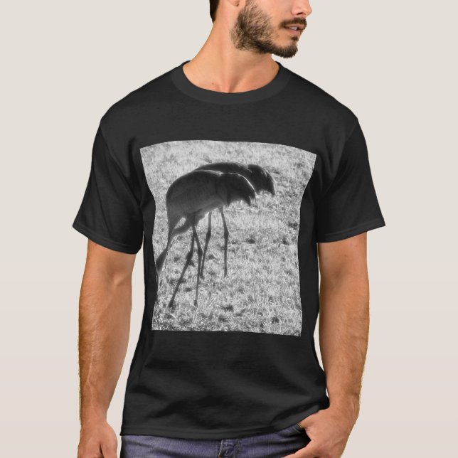 Sand Hill Cranes T-Shirt (Front)