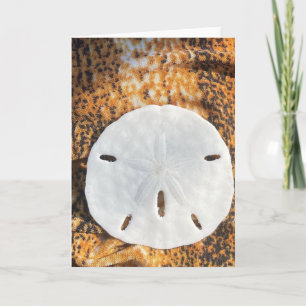 Sand Holiday Card