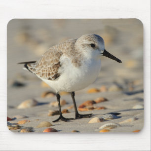 Sand Piper and Seashells Mouse Mat