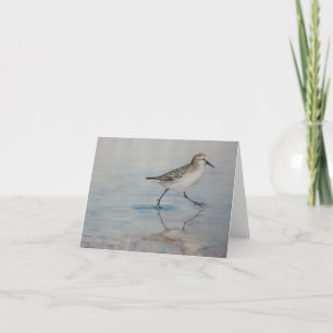 Sand Piper Bird Art Notecard