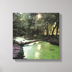 sand point trail canvas print