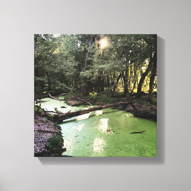 sand point trail canvas print (Front)