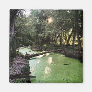 sand point trail magnet