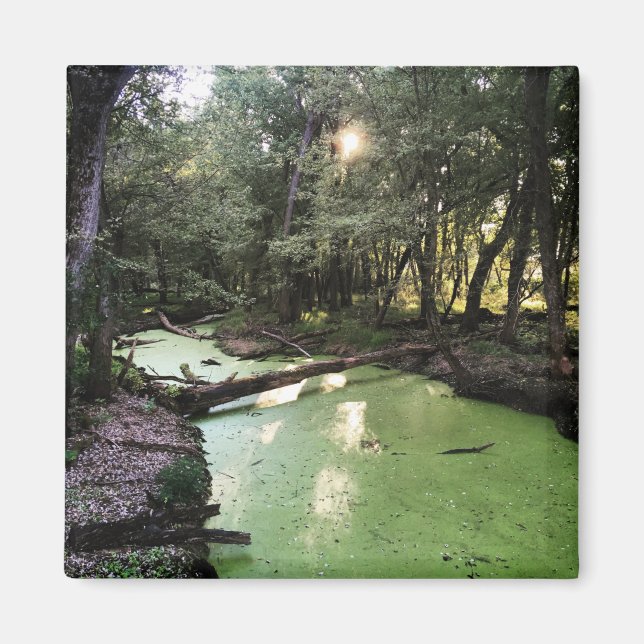 sand point trail magnet (Front)