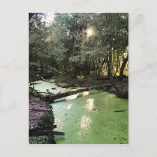 sand point trail postcard