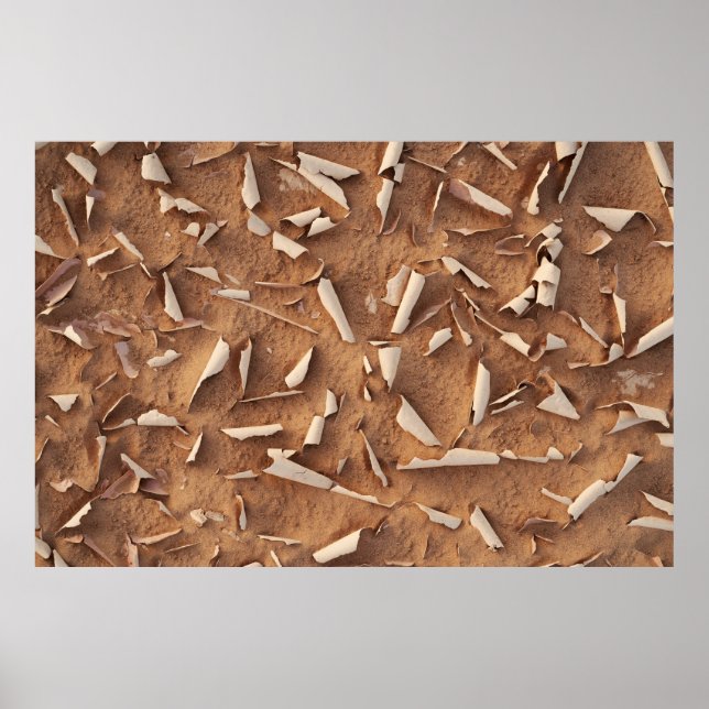 Sand Poster (Front)