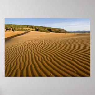 Sand ripples and dunes at Coral Pink Sand 2 Poster