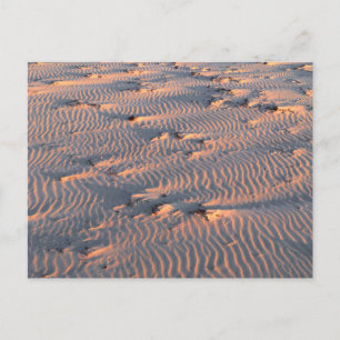 sand ripples postcard