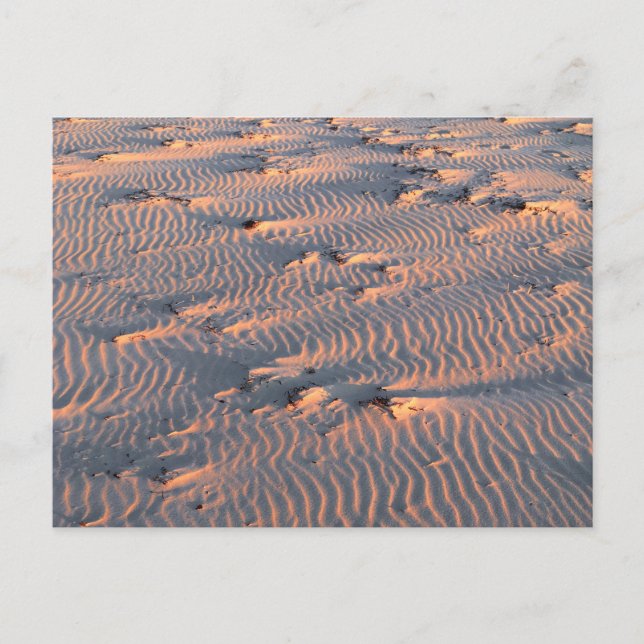 sand ripples postcard (Front)