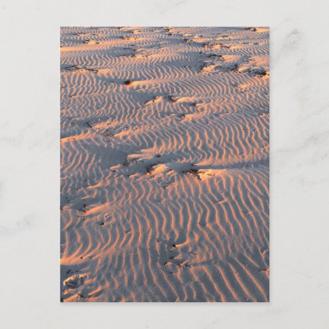 sand ripples postcard (Front)