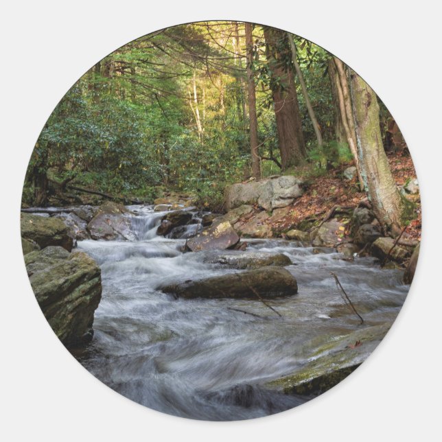 Sand Spring Run, Hickory Run State Park Classic Round Sticker (Front)