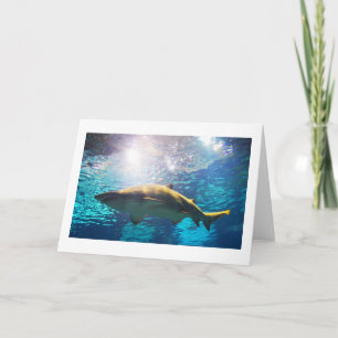 Sand tiger shark holiday card