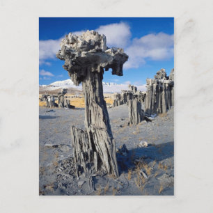 Sand tufa formations, Mono Lake, California, U.S.A Postcard