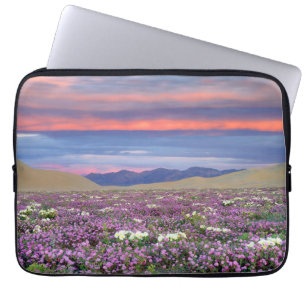 Sand Verbena & Dune Primrose Wildflowers at Sunset Laptop Sleeve