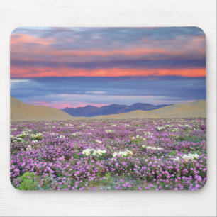 Sand Verbena & Dune Primrose Wildflowers at Sunset Mouse Mat