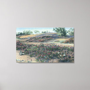 Sand Verbenas and Desert Evening Primroses Canvas Print