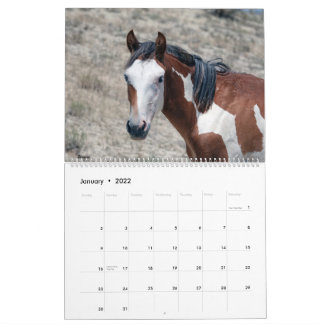 Sand Wash Basin 2021 Calendar
