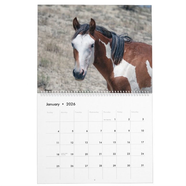 Sand Wash Basin 2021 Calendar (Jan 2026)